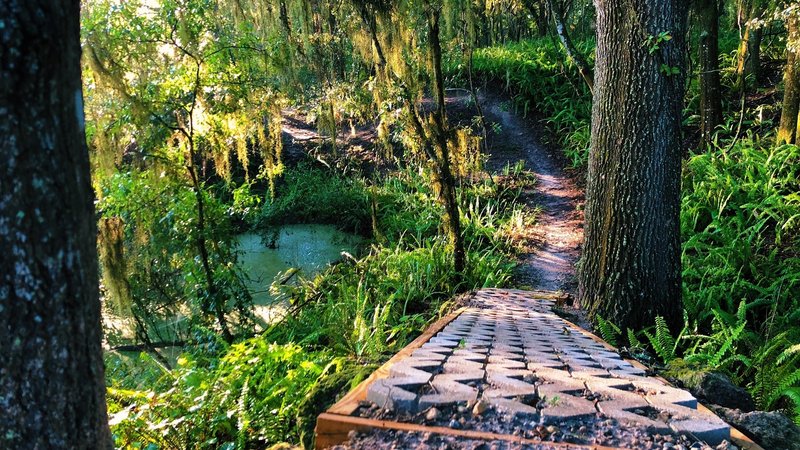 5 Best Mountain Bike Trails to Ride in Florida